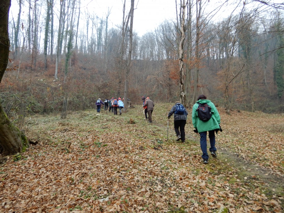 19. 12. 2018 - foto povečava