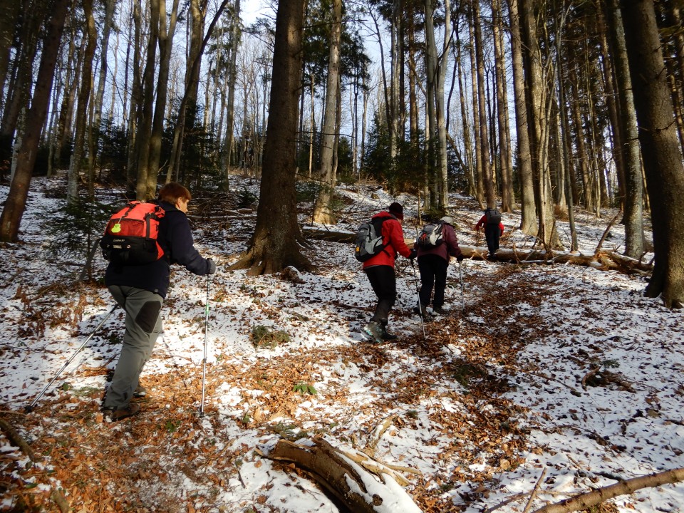 6. 1. 2019 - foto povečava