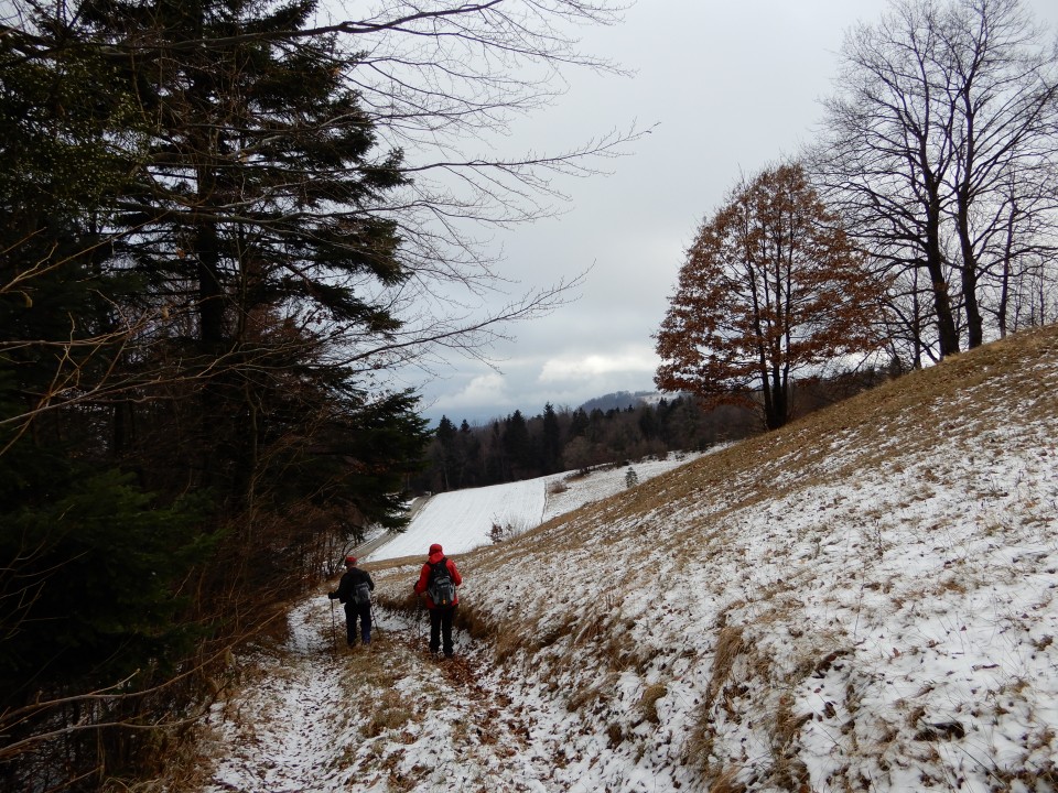 6. 1. 2019 - foto povečava