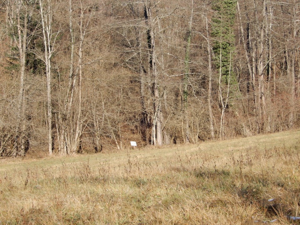 14. 1. 2019 - foto povečava