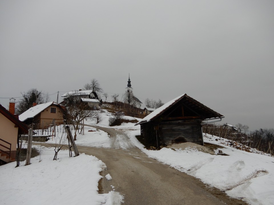 21. 1. 2019 - foto povečava