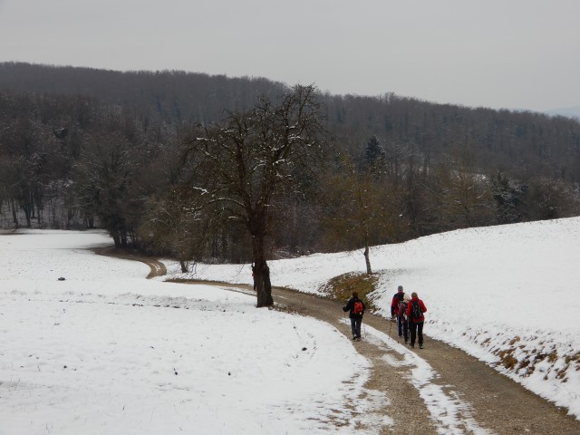 21. 1. 2019 - foto