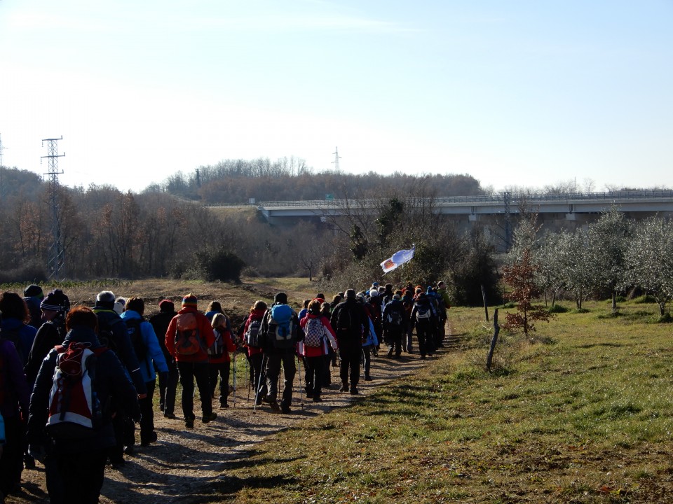 26. 01. 2019 - foto povečava