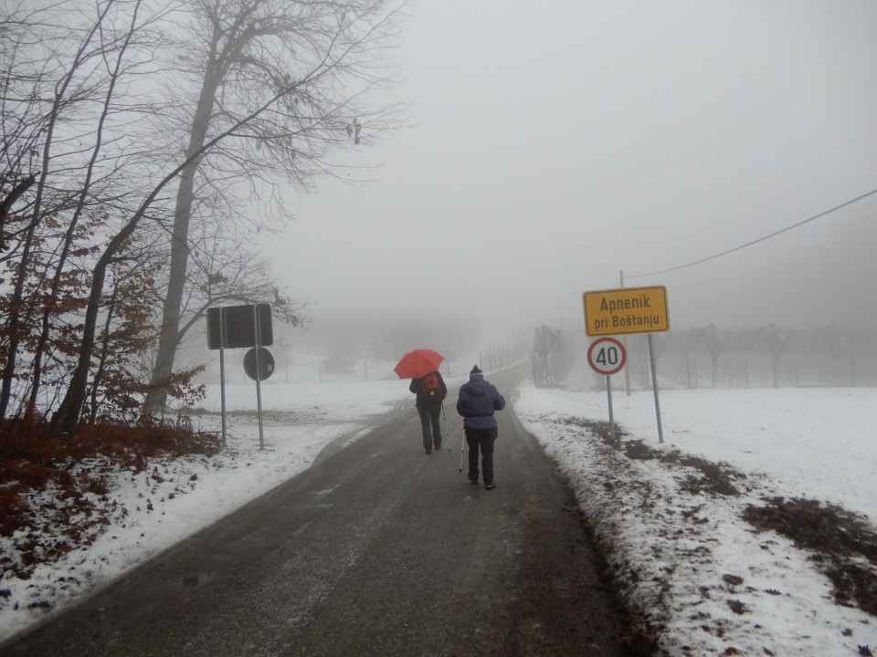 28. 1. 2019 - foto povečava