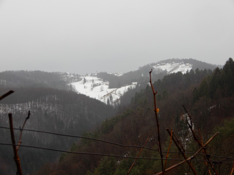 28. 1. 2019 - foto povečava