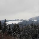 29. 1. 2019