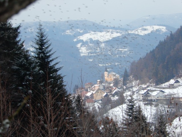29. 1. 2019 - foto
