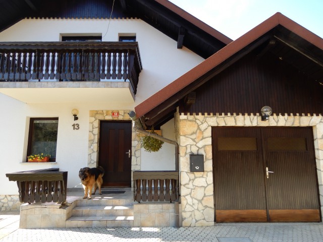 6. 2. 2019 - foto