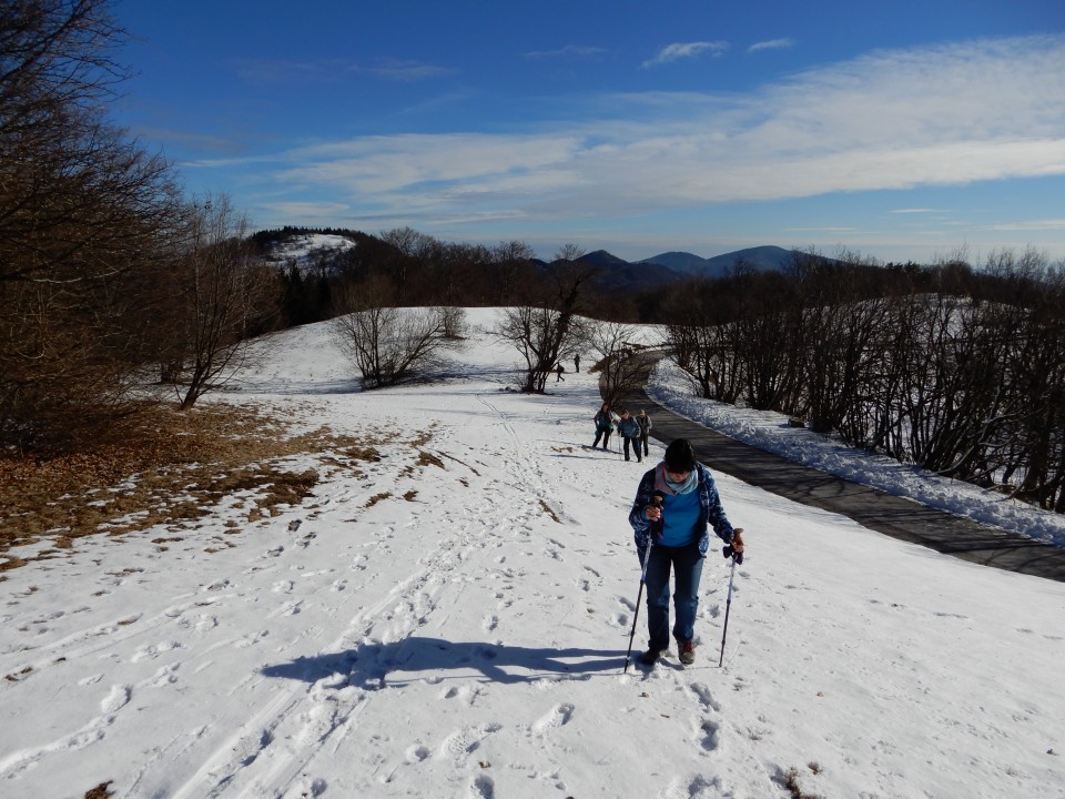 13. 2. 2019 - foto povečava