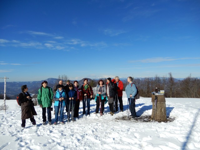 13. 2. 2019 - foto