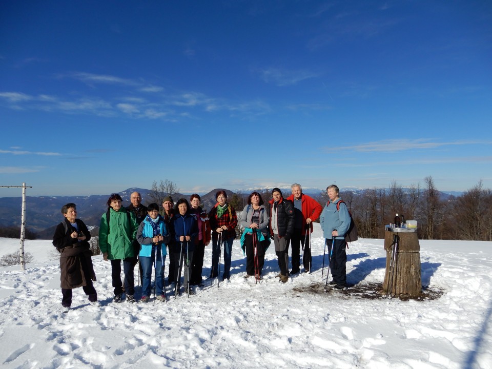 13. 2. 2019 - foto povečava