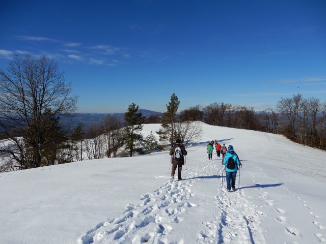 13. 2. 2019 - foto