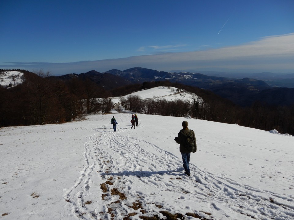 13. 2. 2019 - foto povečava