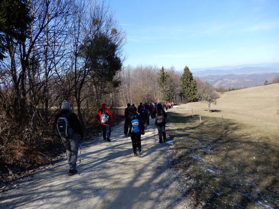 23. 2. 2019 - foto povečava