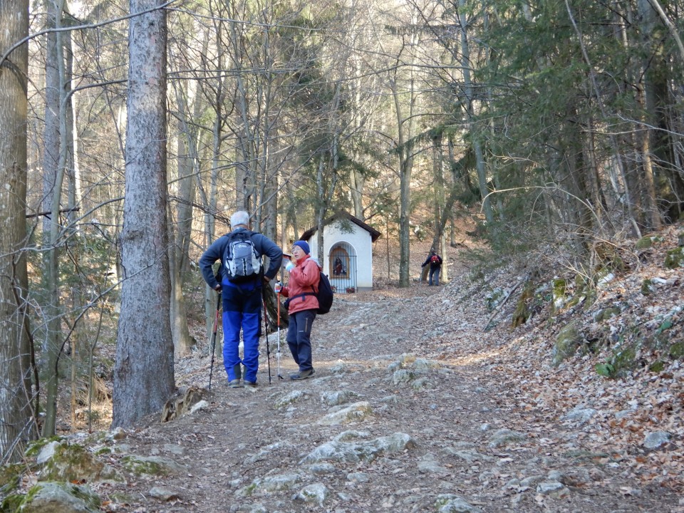 25. 2. 2019 - foto povečava