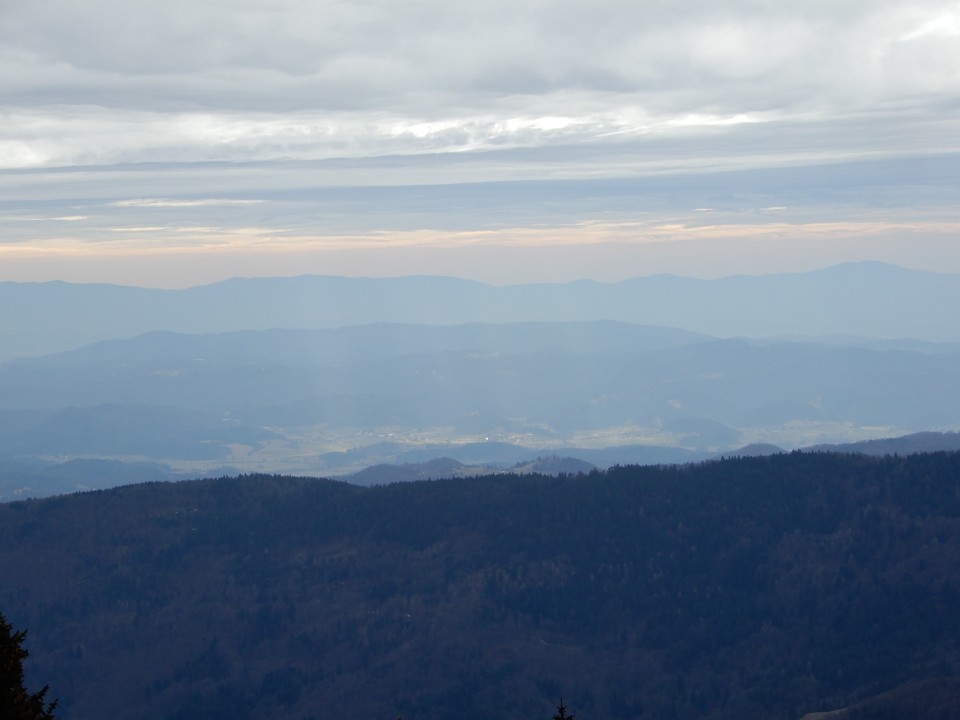 25. 2. 2019 - foto povečava