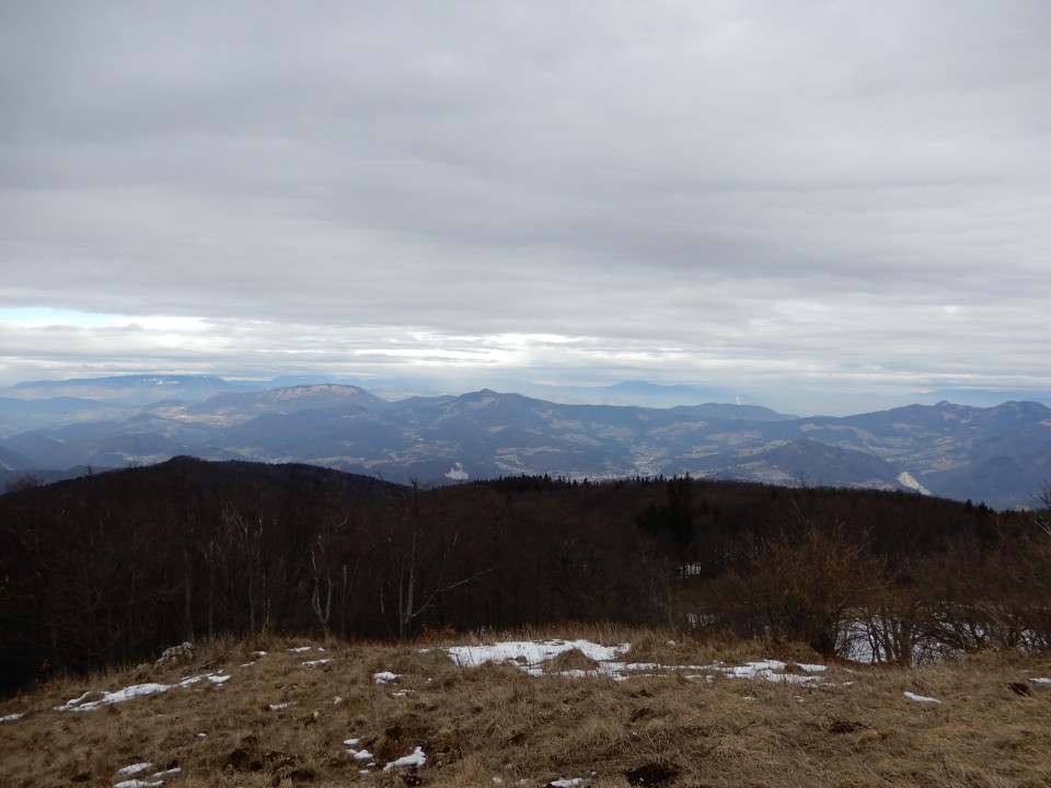 25. 2. 2019 - foto povečava