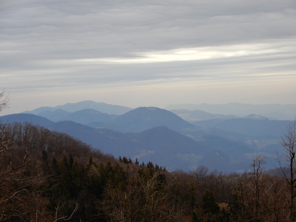 25. 2. 2019 - foto povečava