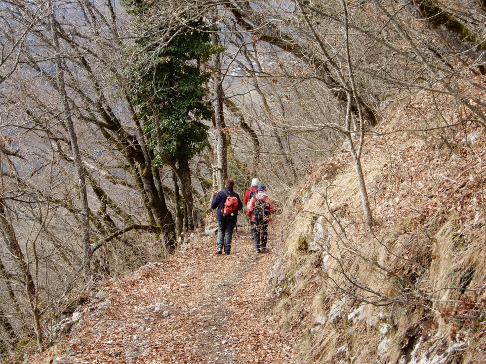 25. 2. 2019 - foto povečava