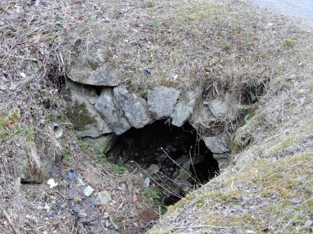 27. 2. 2019 - foto