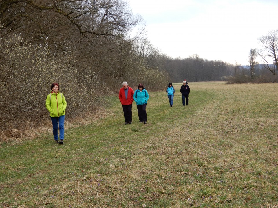 13. 3. 2019 - foto povečava