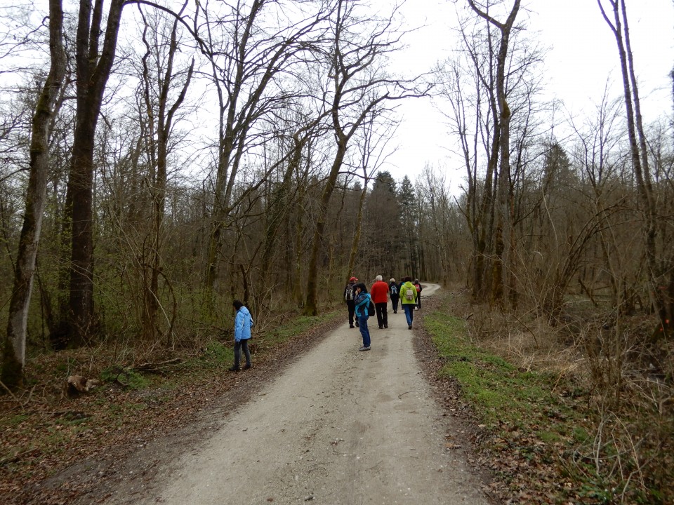 13. 3. 2019 - foto povečava