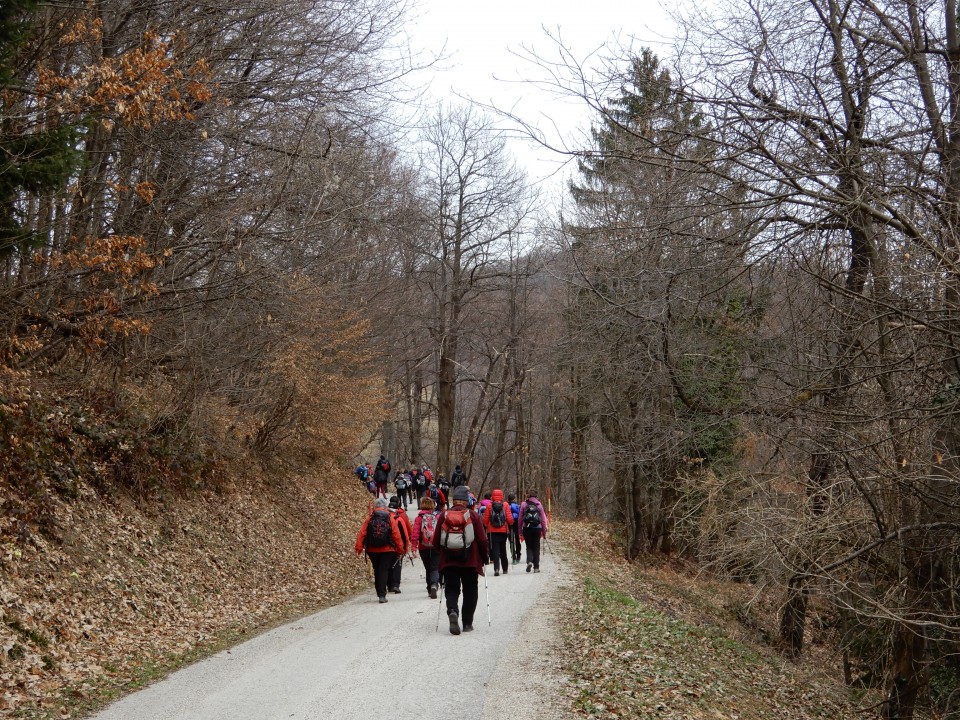 16. 3. 2019 - foto povečava