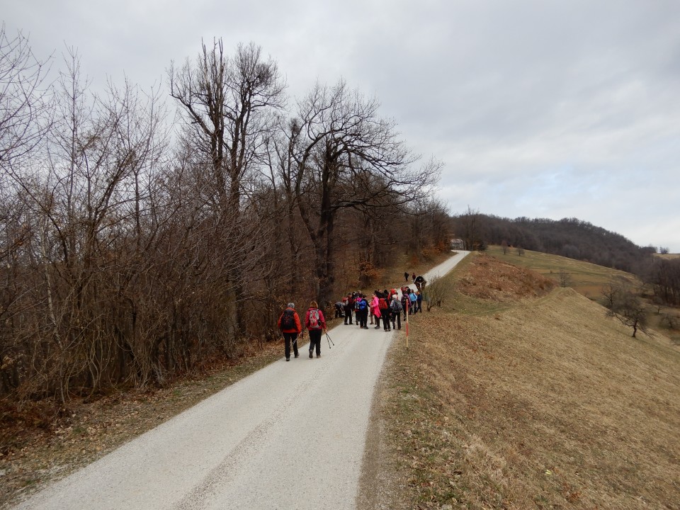 16. 3. 2019 - foto povečava