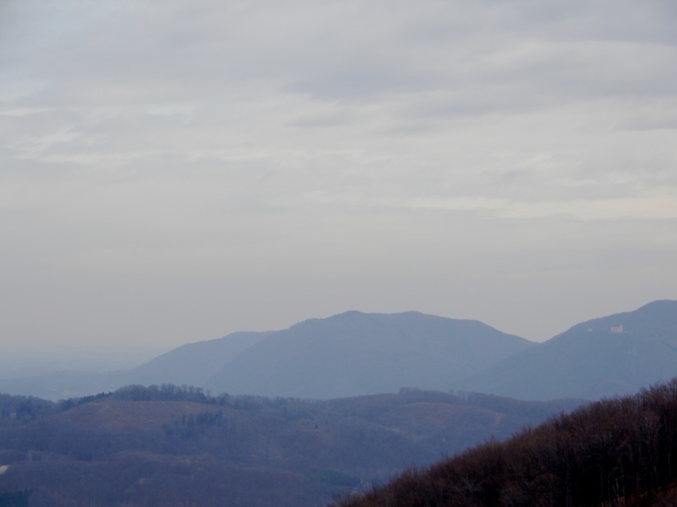 16. 3. 2019 - foto povečava