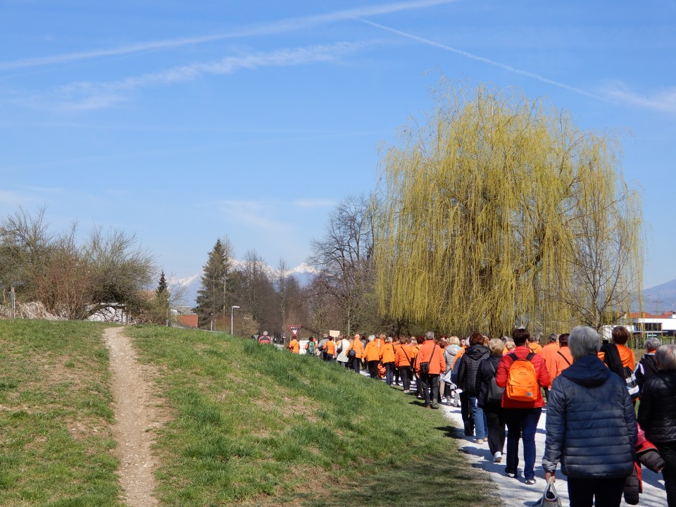 22. 3. 2019 - foto povečava