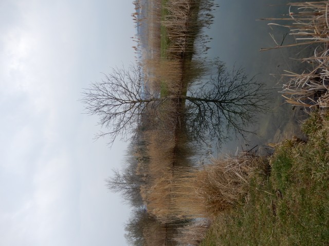 25. 3. 2019 - foto