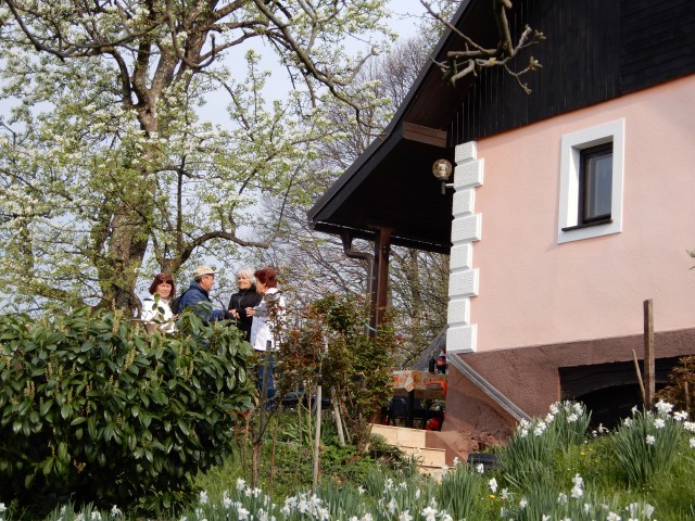 3. 4. 2019 - foto