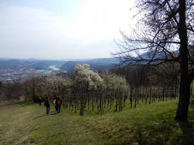 3. 4. 2019 - foto