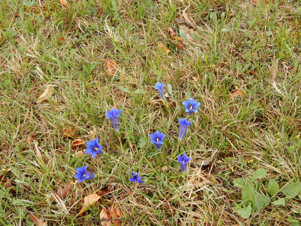 24. 4. 2019 - foto povečava