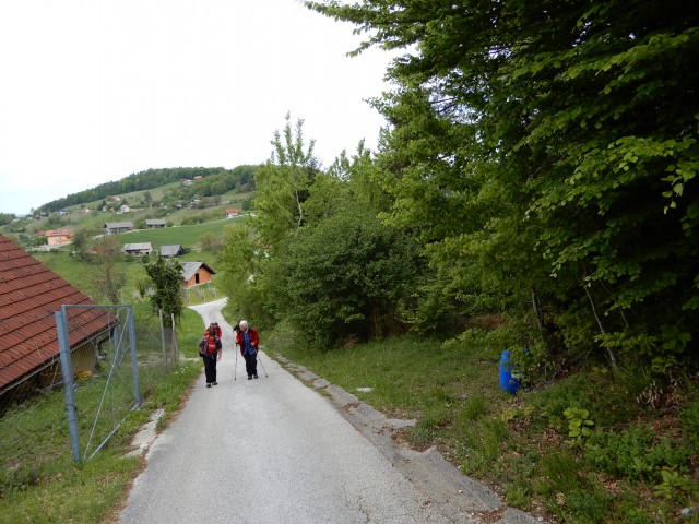 29. 4. 2019 - foto