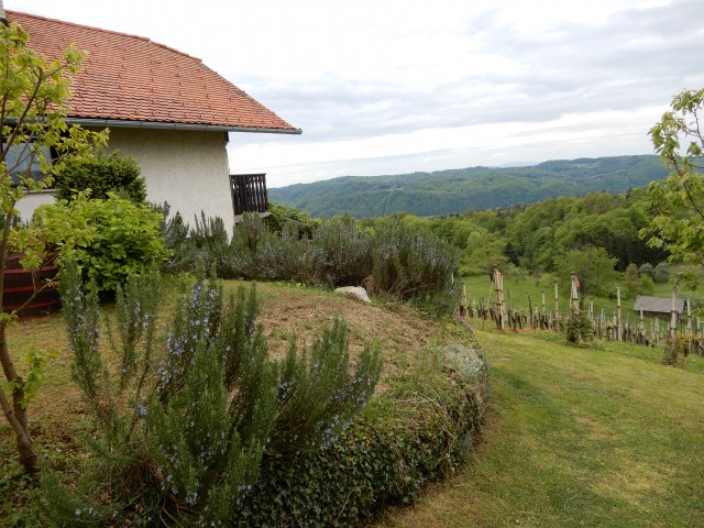 29. 4. 2019 - foto