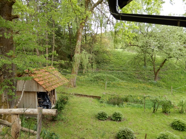 29. 4. 2019 - foto