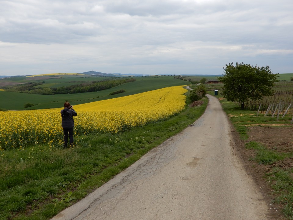 6. in 7. 5. 2019 - foto povečava