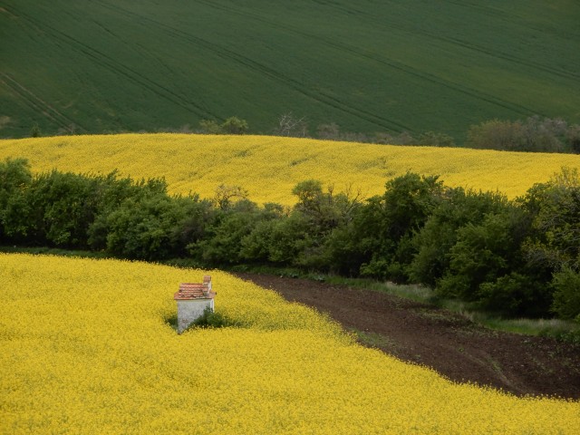 6. in 7. 5. 2019 - foto