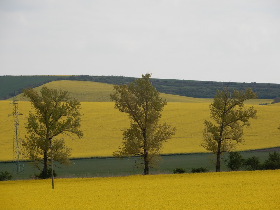 6. in 7. 5. 2019 - foto povečava