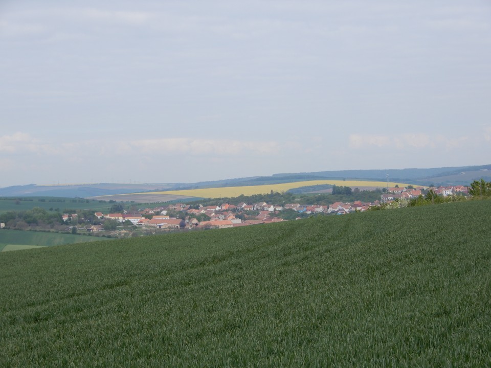 7. 5. 2019 - foto povečava