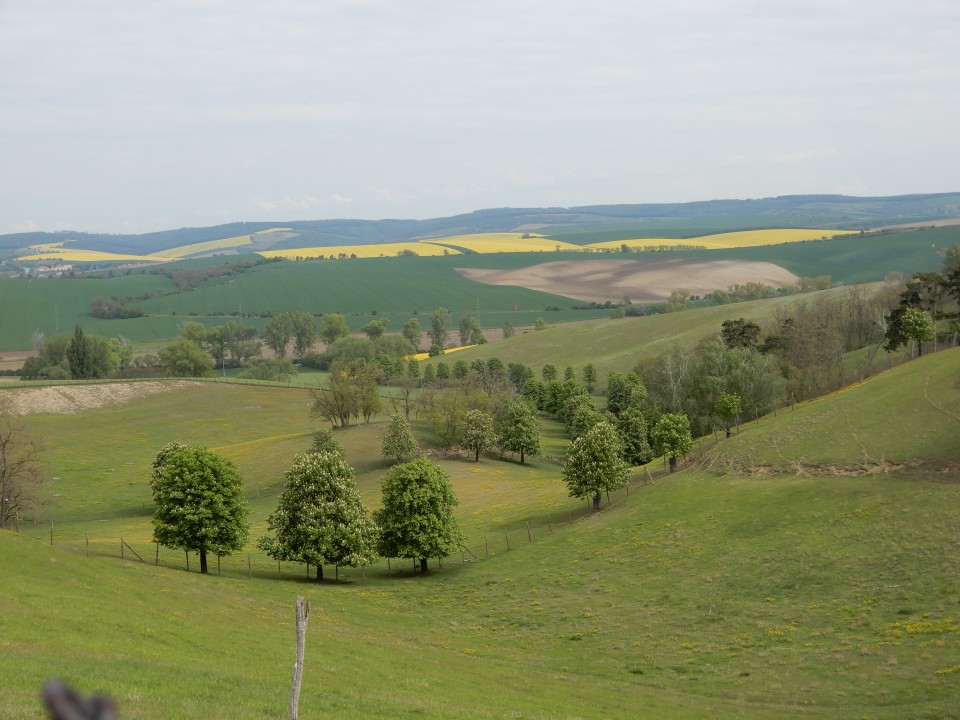 7. 5. 2019 - foto povečava