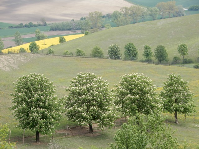 7. 5. 2019 - foto