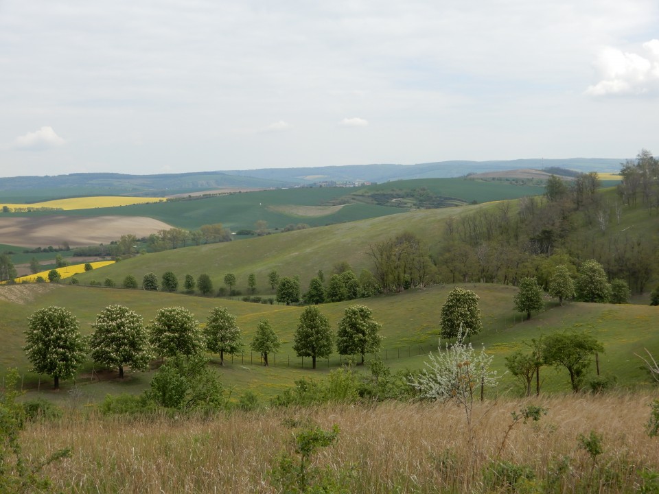 7. 5. 2019 - foto povečava