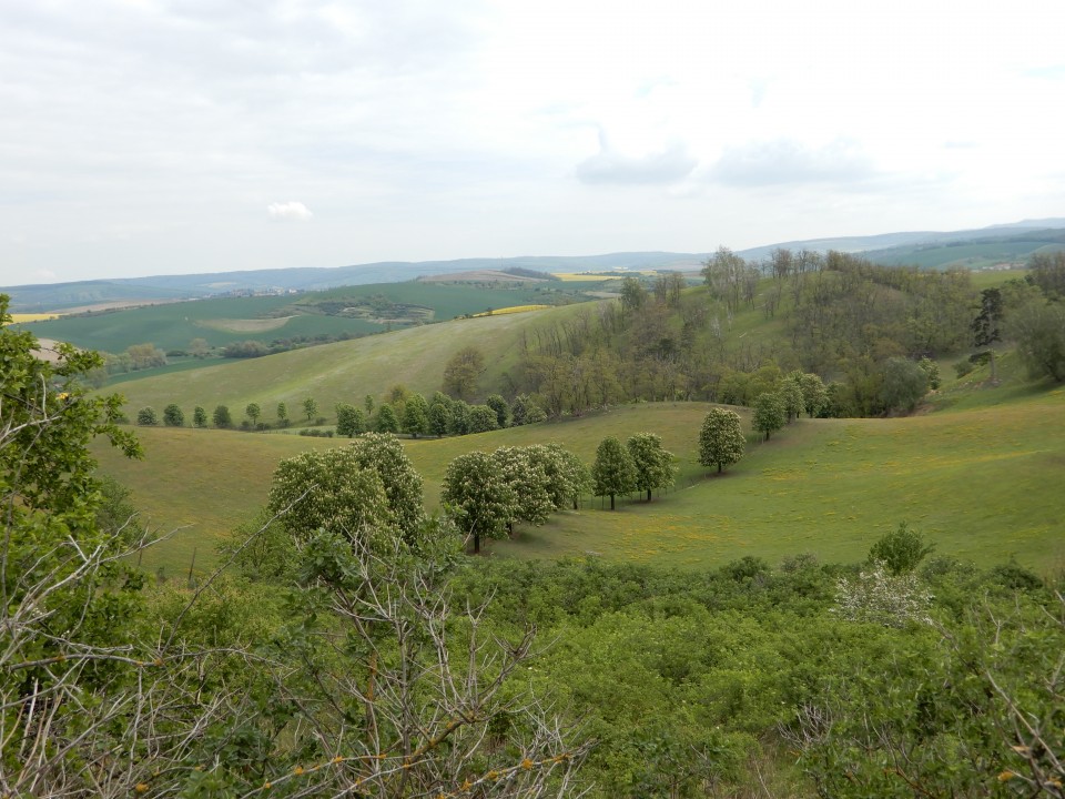 7. 5. 2019 - foto povečava