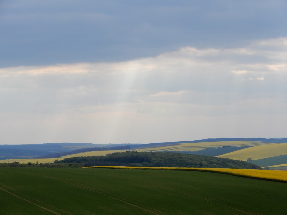 7. 5. 2019 - foto povečava