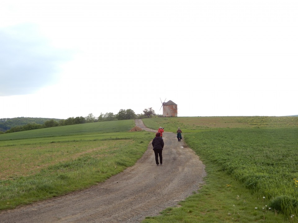 7. 5. 2019 - foto povečava