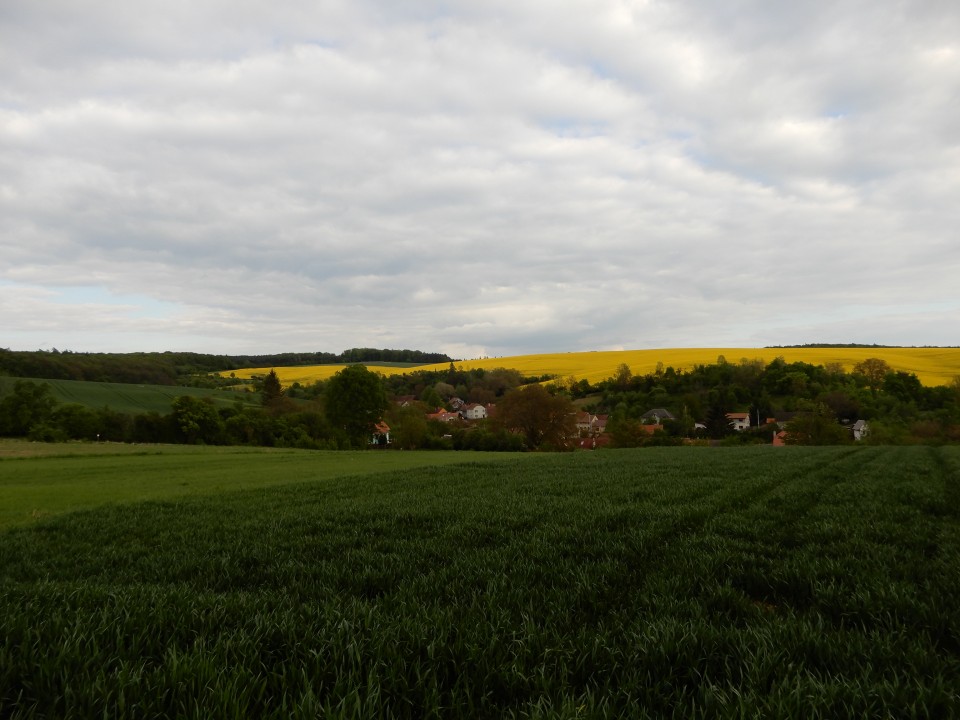 7. 5. 2019 - foto povečava