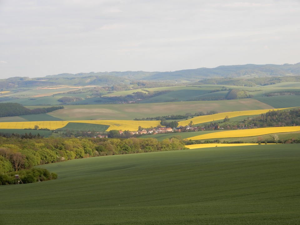 7. 5. 2019 - foto povečava