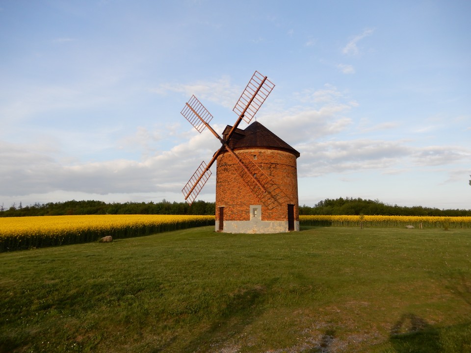 7. 5. 2019 - foto povečava